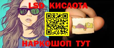 эйфоретик Гудермес