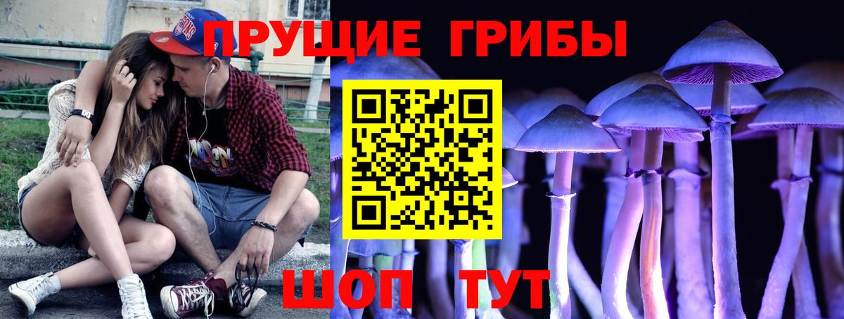 Галлюциногенные грибы MAGIC MUSHROOMS Новороссийск